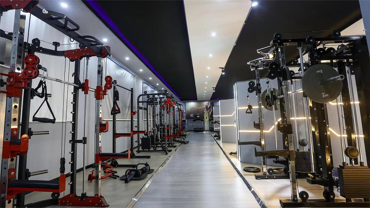 China Shandong Freeman Fitness Equipment Co., Ltd. Perfil de la compañía