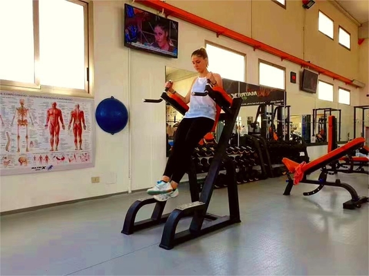 Material de acero de rodilla vertical hacia arriba/bajo Equipo de entrenador de gimnasio para el culturismo definitivo