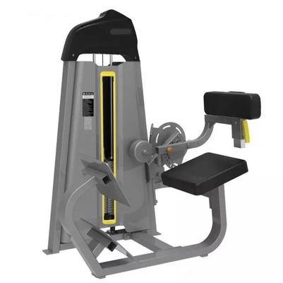 Máquina de extensión de espalda Equipo de acondicionamiento físico para entrenamiento en gimnasio y ejercicio de culturismo