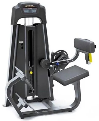 Máquina de extensión de espalda Equipo de acondicionamiento físico para entrenamiento en gimnasio y ejercicio de culturismo