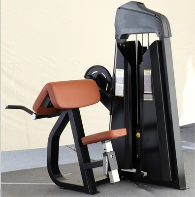 Opcional Seleccionable Befreeman Equipo de acondicionamiento físico comercial popular Acero sentado Camber Curl Medium Loader