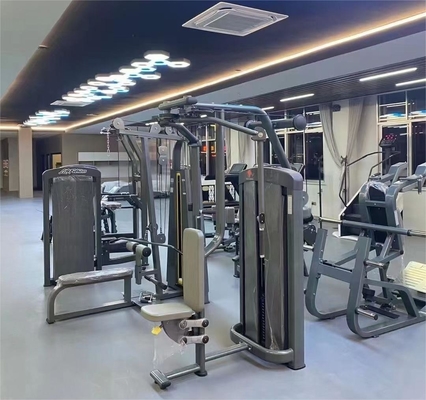 Fitness comercial gimnasio Pin cargado Pectoral Fly Machine para el trasero del delta y la mosca del pecho