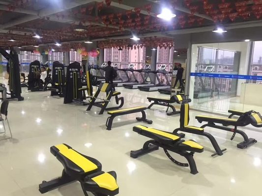 Ejercicio físico cuerpo ajustable máquina de extensión de la espalda entrenador abdominal con alfiler