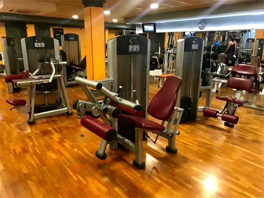 1500*1300*1750 mm Equipo de gimnasio con alfileres para entrenamiento abdominal sentado para entrenamientos efectivos