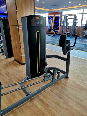 Logotipo Personalizado Logotipo disponible máquina de glute de kickback para centros de fitness comerciales