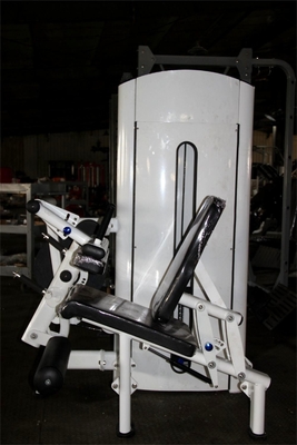 Máquina de acero ajustable para rodar las piernas de carga media asiento ajustable para ejercicio de pantorrilla