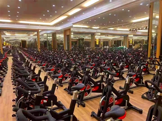 Equipo de gimnasio Flywheel de 18 kg para entrenamiento cardiovascular comercial y fortalecimiento corporal