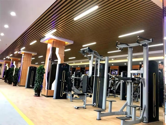 Logotipo personalizado disponible en la máquina de empuje de tríceps de acero para equipos comerciales de gimnasio