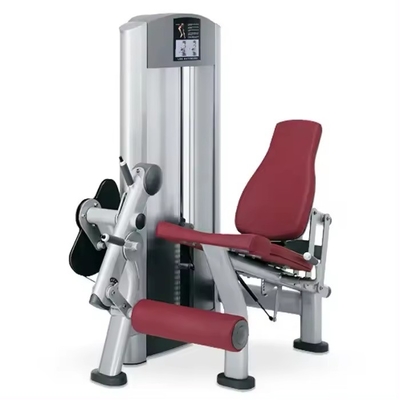 Máquina de extensión de piernas con asiento de acero ideal para el entrenamiento de las espinillas del cuádriceps de los cargadores medios
