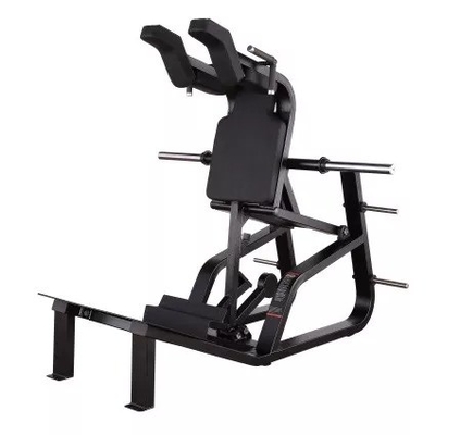 Equipo de ejercicios de culturismo comercial personalizable para gimnasia
