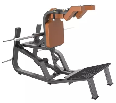 Equipo de ejercicios de culturismo comercial personalizable para gimnasia