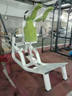 Equipo de ejercicios de culturismo comercial personalizable para gimnasia