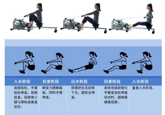 Unisex 35kg Indoor Plegable Sentado Máquina de remo aéreo La mejor opción para los entrenamientos cardiovasculares