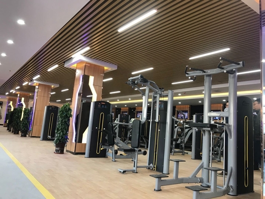 Repuesto de sentadillas y sentadillas multifunción para ejercicio de gimnasio con selección de peso ajustable