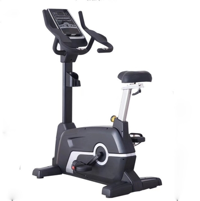 Color del marco personalizable Befreeman Magnética bicicleta de ejercicio vertical para el entrenamiento cardiovascular