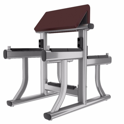 Banquillo de acero con brazo curvilíneo para el bíceps Equipo de gimnasio de curl 1170*800*1080 mm