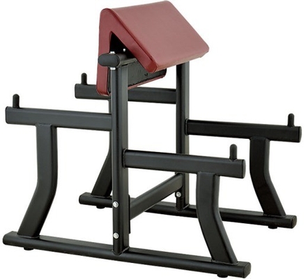 Banquillo de acero con brazo curvilíneo para el bíceps Equipo de gimnasio de curl 1170*800*1080 mm