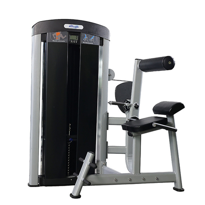 Equipo de gimnasio comercial Entrenador abdominal con pines con extensión de espalda ajustable