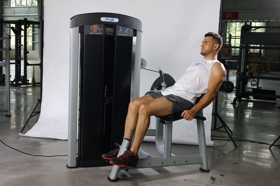 Equipo de gimnasio comercial Entrenador abdominal con pines con extensión de espalda ajustable