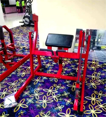 Mejorar su rutina de entrenamiento con 1200 * 1300 * 1200mm placa cargada sentado Biceps máquina