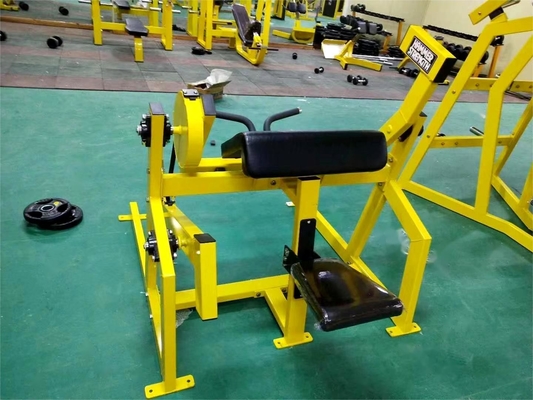 Mejorar su rutina de entrenamiento con 1200 * 1300 * 1200mm placa cargada sentado Biceps máquina