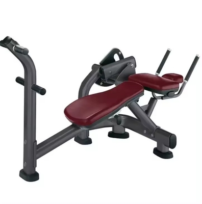 Equipo de entrenamiento de fuerza Banco ajustable para la extensión de espalda y la máquina ABS