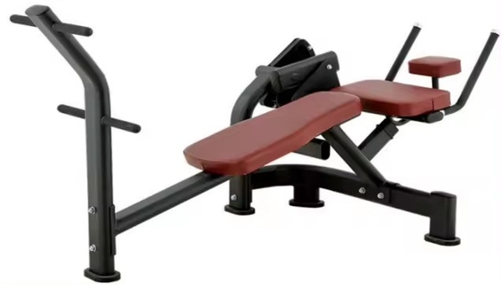 Equipo de entrenamiento de fuerza Banco ajustable para la extensión de espalda y la máquina ABS