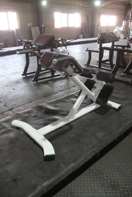 Medium Loader ajustable Extensión de espalda silla romana para abdominales y ejercicio de espalda