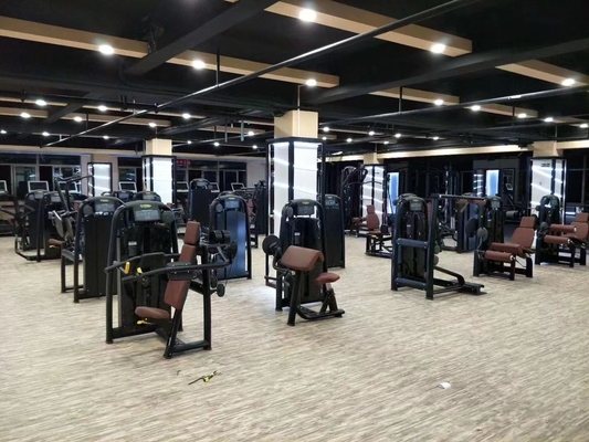 Adductor de cintura interna de carga media para equipos de gimnasio comerciales universales con pines