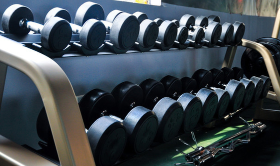 19.5 kg Capacidad de carga Equipo de gimnasio Equipo de acondicionamiento físico Dumbbell Estante de almacenamiento Diseño plegable