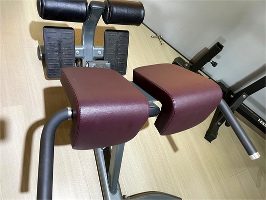 Equipo de acondicionamiento físico de lujo para ejercicios de espalda Extensión de espalda ajustable Silla romana