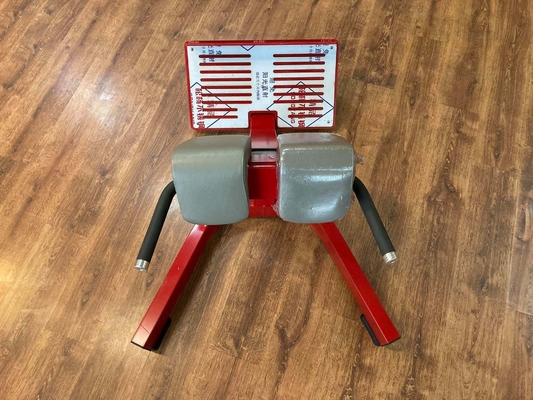 Salón de gimnasia Fitness 45 grados Máquina de extensión de espalda silla romana Salón de gimnasia Banco Unisex Género Unisex