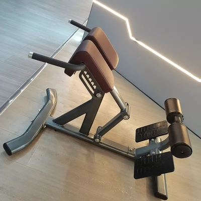 Salón de gimnasia Fitness 45 grados Máquina de extensión de espalda silla romana Salón de gimnasia Banco Unisex Género Unisex