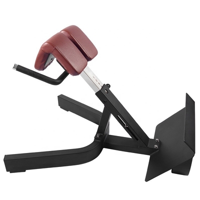 Entrenamiento de fuerza Multifunción Brazo de recubrimiento de espalda de extensión Banco silla romana para unisexo