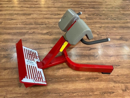 Entrenamiento de fuerza Multifunción Brazo de recubrimiento de espalda de extensión Banco silla romana para unisexo