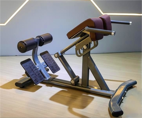 Gimnasio Fitness Máquina de extensión de espalda de 45 grados con color de marco seleccionable opcional