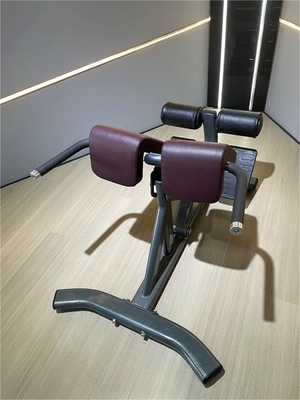 Gimnasio Fitness Máquina de extensión de espalda de 45 grados con color de marco seleccionable opcional