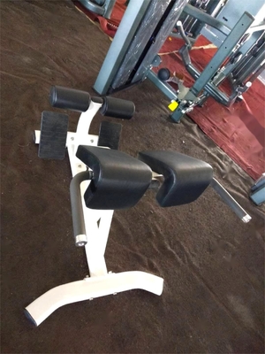 Gimnasio Fitness Máquina de extensión de espalda de 45 grados con color de marco seleccionable opcional