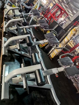 Gimnasio Fitness Máquina de extensión de espalda de 45 grados con color de marco seleccionable opcional