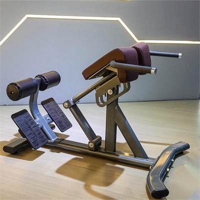 Equipo de entrenamiento de fuerza del gimnasio Extensión de espalda ajustable silla romana para comerciales