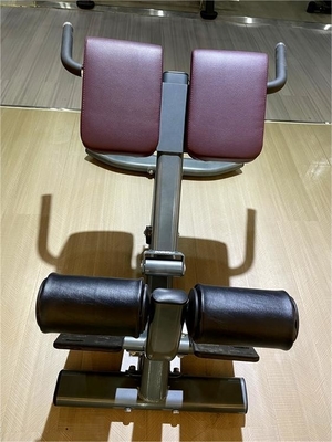 Equipo de entrenamiento de fuerza del gimnasio Extensión de espalda ajustable silla romana para comerciales