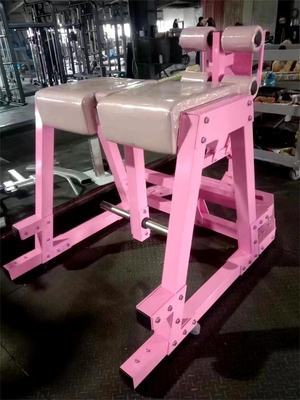 Q235 Entrenamiento de glúteos con placa de carga Hiperreverso para entrenamiento muscular en gimnasio comercial