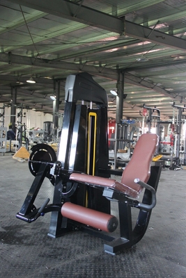 Máquina de extensión de rodillos de piernas sentadas ajustable de doble función para ejercicios físicos