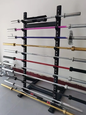 Diseño EZ Barbell Curl Bar La adición perfecta para el entrenamiento con pesas libres de su gimnasio