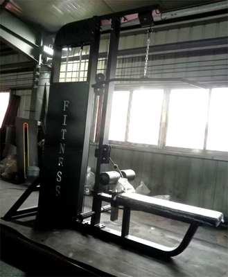 Gimnasio en el hogar 2 en 1 sentado Lat Pulldown máquina con construcción de acero de grado comercial
