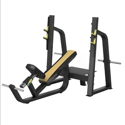 Commercial Befreeman Gimnasio Equipo de acondicionamiento físico Banco de entrenamiento con pesas Banco de inclinación ajustable