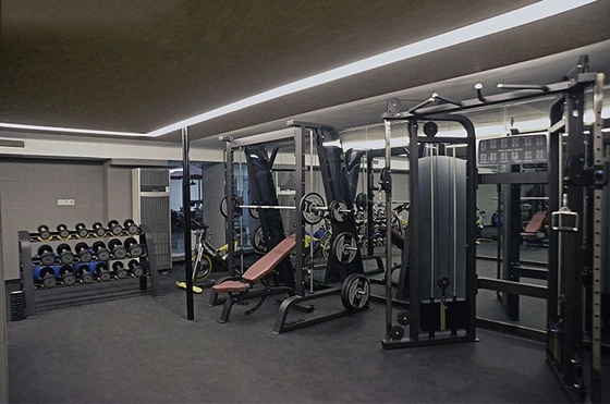 1300*2010*2110mm Cable Crossover Equipo de gimnasio unisex para el entrenamiento multifuncional