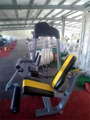 Entrenamiento de fuerza profesional con la máquina de extensión de piernas con tubo de acero Q235