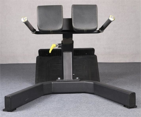 Ejercicio en interiores Extensión muscular de la espalda Cama de silla romana máquina de banco para entrenamiento físico