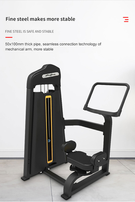 Equipo de acondicionamiento físico profesional Torso rotativo en interiores para entrenamiento de culturismo en gimnasio